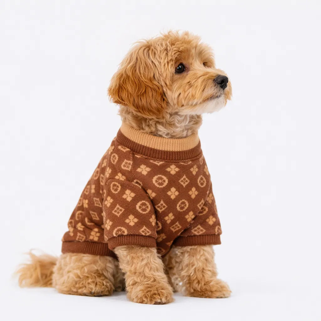 Suéter Pet de Inverno